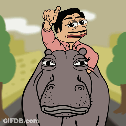 A Cartoon Man Is Riding On The Back Of A Hippopotamus GIF