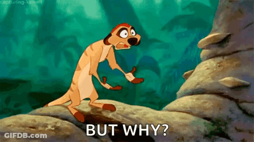 A Cartoon Meerkat Is Standing On A Rock And Asking But Why GIF