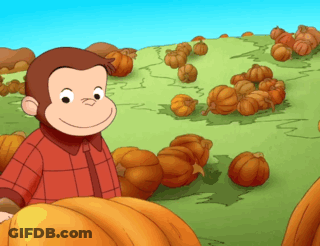 A Cartoon Monkey Is Standing In Front Of A Field Of Pumpkins GIF