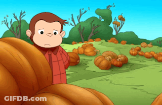 A Cartoon Monkey Stands In A Field Of Pumpkins GIF