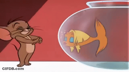 A Cartoon Mouse Is Looking At A Fish In A Bowl GIF