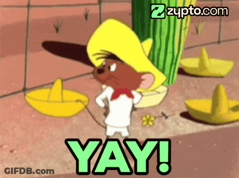 A Cartoon Mouse With A Sombrero And The Word Yay GIF