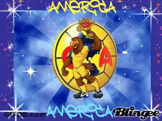 A Cartoon Of A Bear Holding A Trophy In Front Of A America Logo GIF
