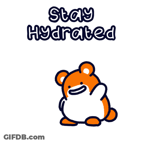 A Cartoon Of A Bear Holding A Water Bottle With The Words Stay Hydrated GIF