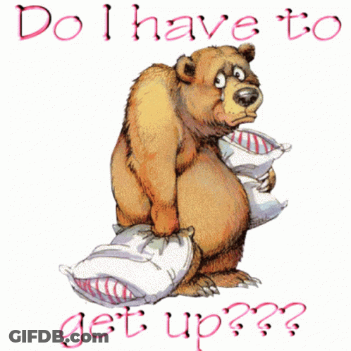 A Cartoon Of A Bear Holding Two Pillows With The Words Do I Have To Get Up GIF