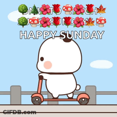 A Cartoon Of A Bear Riding A Scooter With The Words Happy Sunday Written Below It GIF