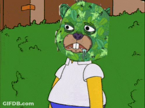 A Cartoon Of A Bear Wearing A Camouflage Mask GIF
