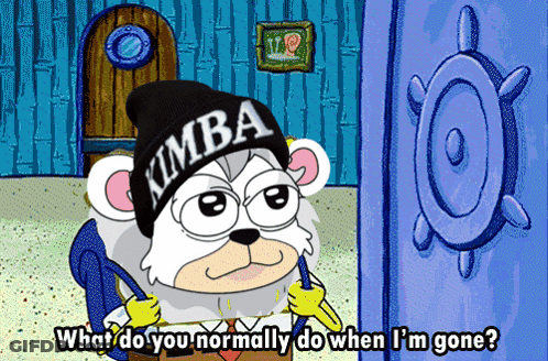 A Cartoon Of A Bear Wearing A Kimba Beanie GIF