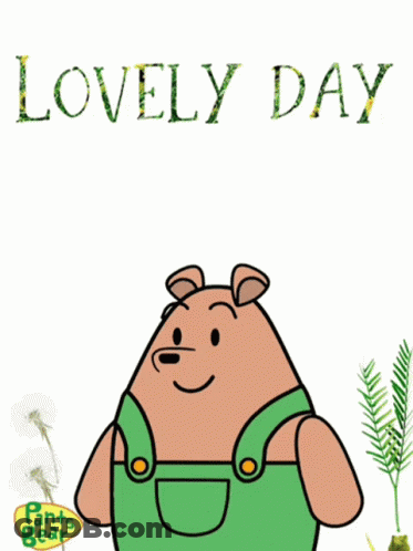 A Cartoon Of A Bear With A Butterfly On His Nose And The Words Lovely Day Below It GIF