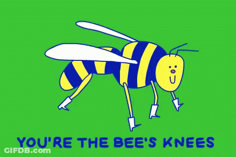 A Cartoon Of A Bee With The Words " You 'Re The Bee 'S Knees " GIF