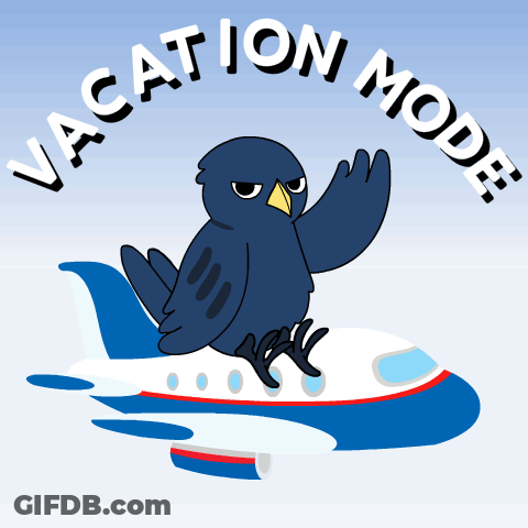 A Cartoon Of A Bird Flying On A Plane With The Words Vacation Mode Below It GIF