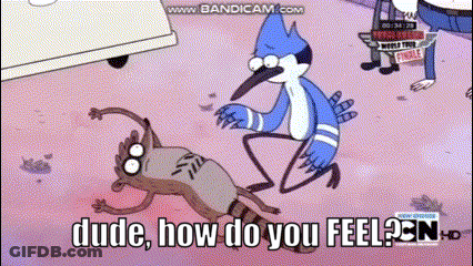 A Cartoon Of A Bird Standing Next To A Raccoon With The Words Dude How Do You Feel On The Bottom GIF