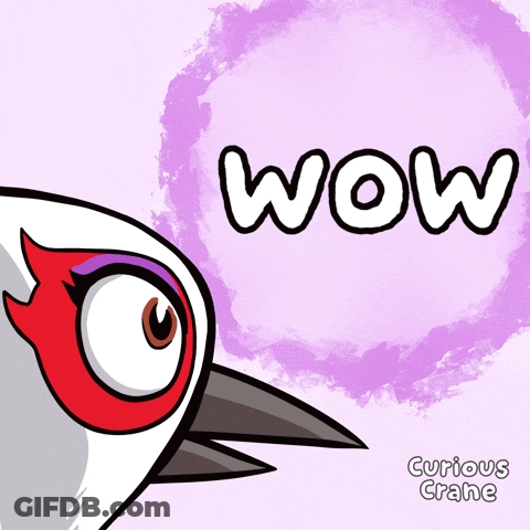 A Cartoon Of A Bird With The Word Wow Written On It GIF