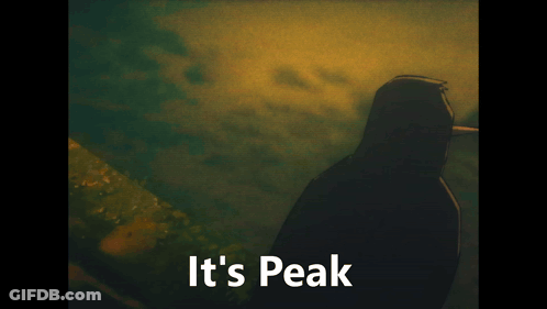 A Cartoon Of A Bird With The Words It 'S Peak Below It GIF