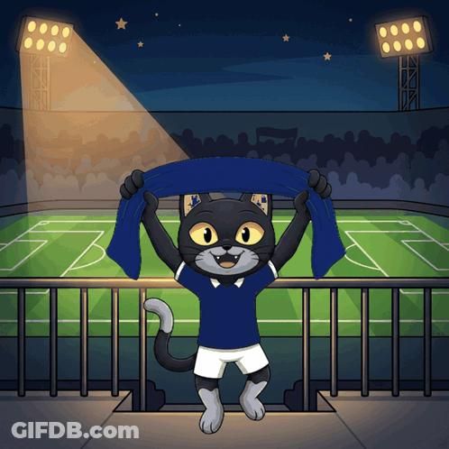 A Cartoon Of A Black Cat Holding A Blue Scarf In Front Of A Soccer Field GIF