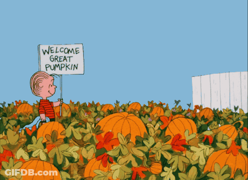 A Cartoon Of A Boy In A Pumpkin Patch Holding A Welcome Great Pumpkin Sign GIF