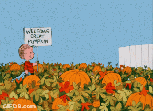 A Cartoon Of A Boy In A Pumpkin Patch Holding A Welcome Great Pumpkin Sign GIF