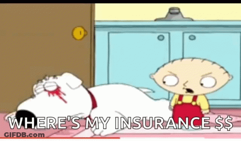 A Cartoon Of A Boy Standing Next To A Dog That Says Where 'S My Insurance $ . GIF