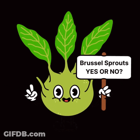A Cartoon Of A Brussels Sprout Holding A Sign That Says Yes Or No GIF