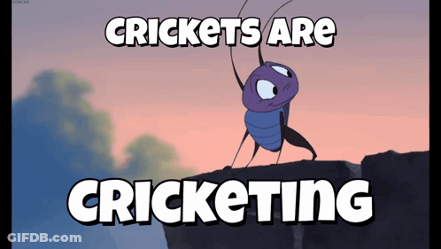 A Cartoon Of A Bug On A Cliff With The Words Crickets Are Cricketing Below It GIF