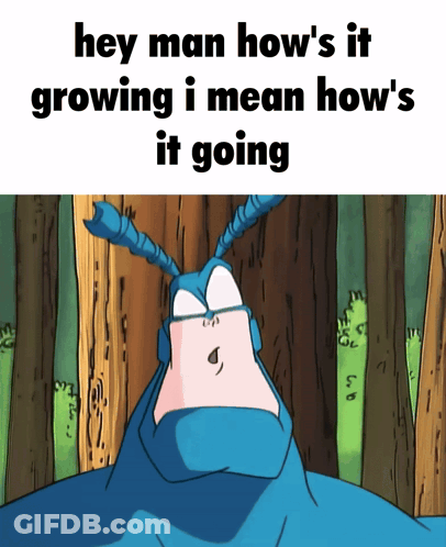 A Cartoon Of A Bug With The Words Hey Man How 'S It Growing I Mean How 'S It Going Below It GIF