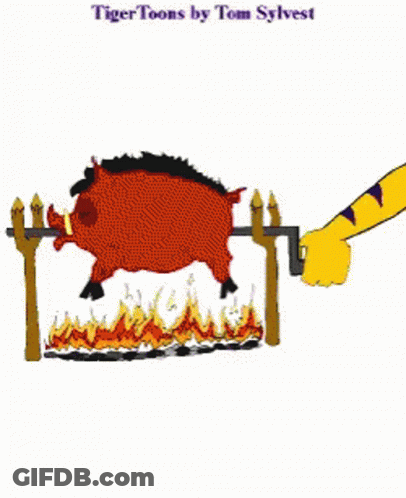 A Cartoon Of A Bull Being Roasted On A Spit By Tiger Toons GIF