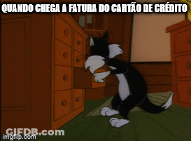 A Cartoon Of A Cat And A Bird With The Words Quando Chega A Fatura Do Cartao De Credito GIF