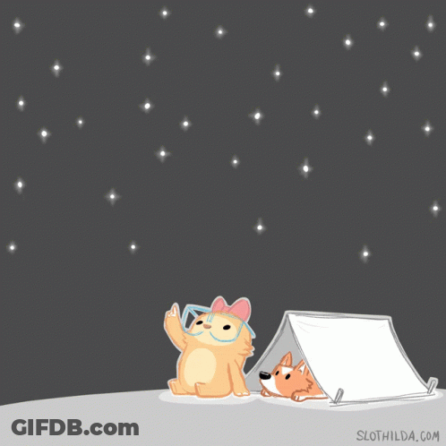 A Cartoon Of A Cat And A Dog In A Tent With Slothilda.com In The Bottom Right Corner GIF