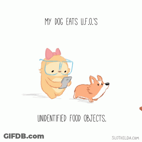 A Cartoon Of A Cat And A Dog With The Words " My Dog Eats U.f.o. 'S " GIF