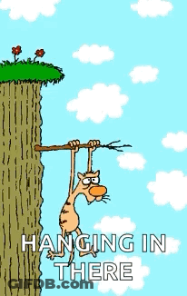 A Cartoon Of A Cat Hanging On A Tree Branch GIF