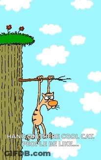 A Cartoon Of A Cat Hanging On A Tree Branch With A Crow Flying Overhead GIF