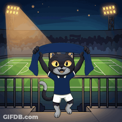 A Cartoon Of A Cat Holding A Blue Scarf In A Stadium GIF