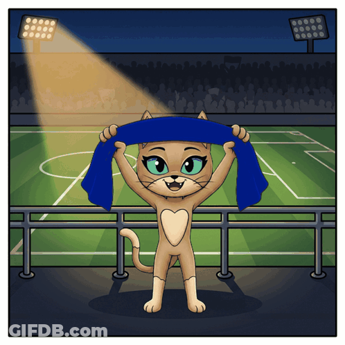 A Cartoon Of A Cat Holding A Blue Scarf In Front Of A Soccer Field GIF