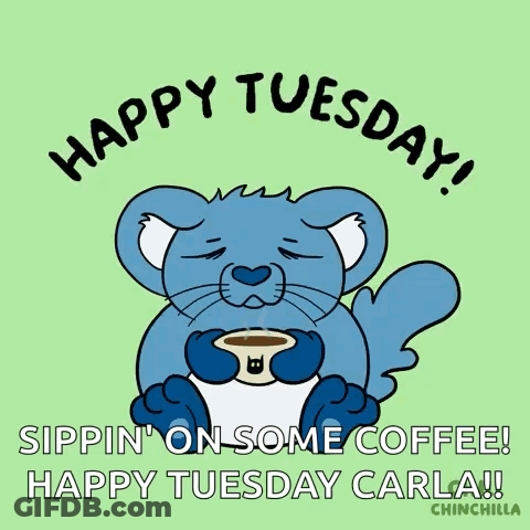 A Cartoon Of A Cat Holding A Cup Of Coffee With The Caption Happy Tuesday GIF