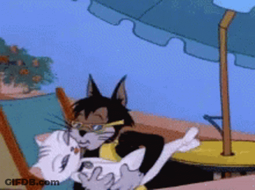 A Cartoon Of A Cat Holding Another Cat GIF