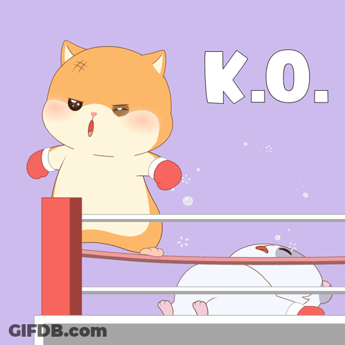 A Cartoon Of A Cat In Boxing Gloves And The Word K.o. GIF