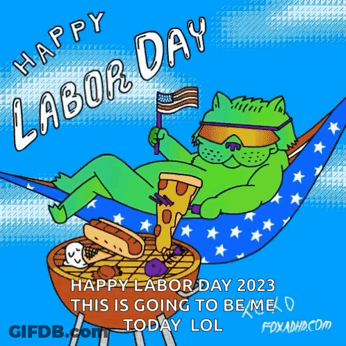 A Cartoon Of A Cat Laying In A Hammock Holding A Pizza And A Flag . GIF