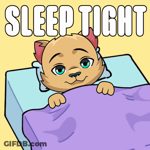 A Cartoon Of A Cat Laying In Bed With The Words Sleep Tight Below It GIF