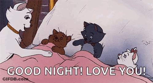A Cartoon Of A Cat Laying On A Bed With The Words " Good Night ! Love You ! " GIF