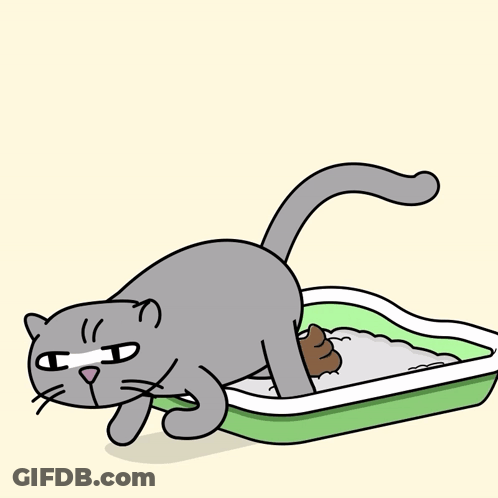 A Cartoon Of A Cat Looking At A Litter Box With The Words Job Done Written Above It GIF