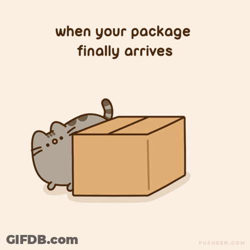 A Cartoon Of A Cat Peeking Out Of A Cardboard Box With The Words " When Your Package Finally Arrives " Below It GIF