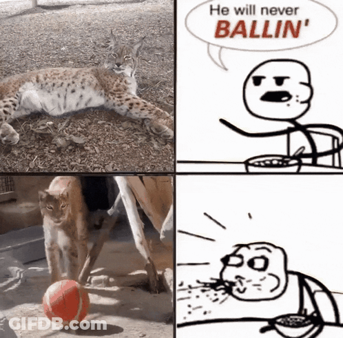 A Cartoon Of A Cat Playing With A Ball With The Words He Will Never Ballin ' Above It GIF