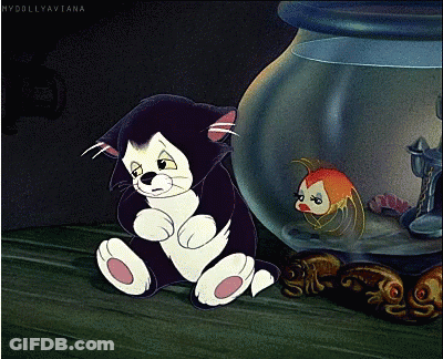 A Cartoon Of A Cat Sitting Next To A Fish Bowl With The Words Mydollyaviana Written On The Bottom GIF