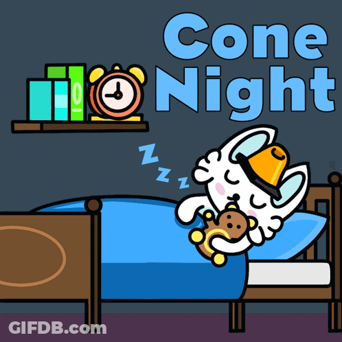 A Cartoon Of A Cat Sleeping In A Bed With The Words " Cone Night " Above It GIF