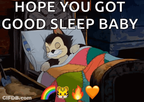 A Cartoon Of A Cat Sleeping In A Bed With The Words " Hope You Got Good Sleep Baby " GIF