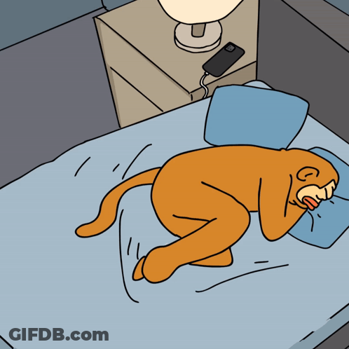 A Cartoon Of A Cat Sleeping On A Bed GIF