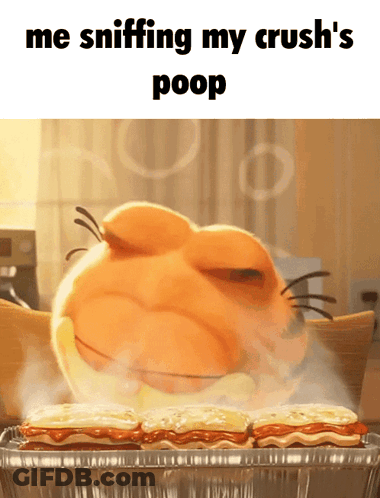 A Cartoon Of A Cat Sniffing A Tray Of Food With The Caption Me Sniffing My Crush 'S Poop GIF