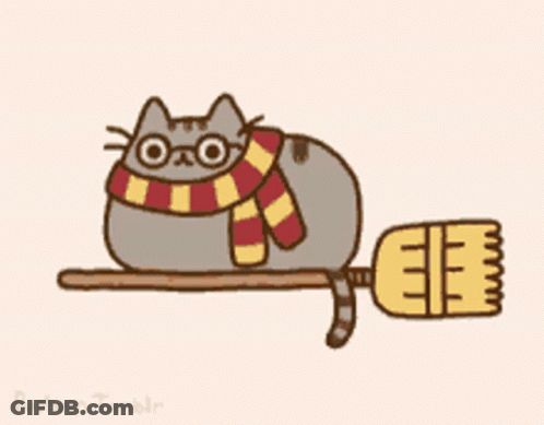 A Cartoon Of A Cat Wearing Glasses And A Scarf Flying On A Broom GIF