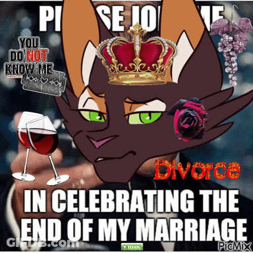 A Cartoon Of A Cat With A Crown On His Head And The Words " In Celebrating The End Of My Marriage " On The Bottom GIF