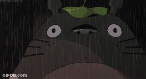 A Cartoon Of A Cat With A Green Leaf On Its Head With The Words Parisnotfrance Below It GIF